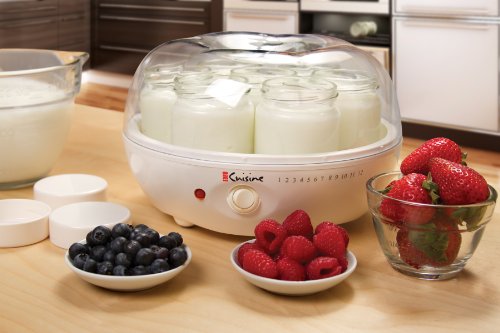 Automatic Yogurt Maker