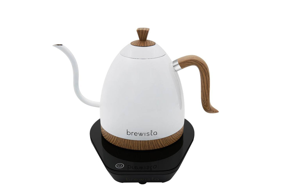 Precision Gooseneck Electric Kettle