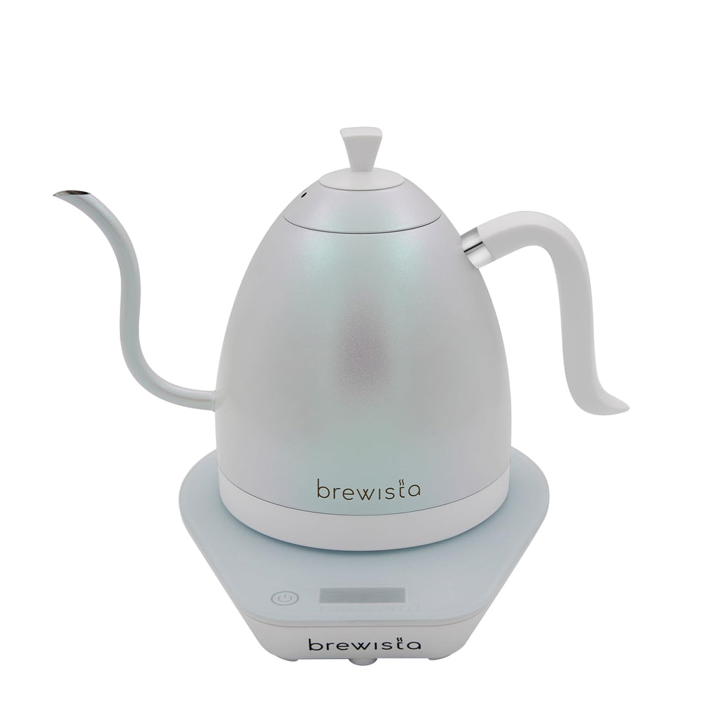 Precision Gooseneck Electric Kettle