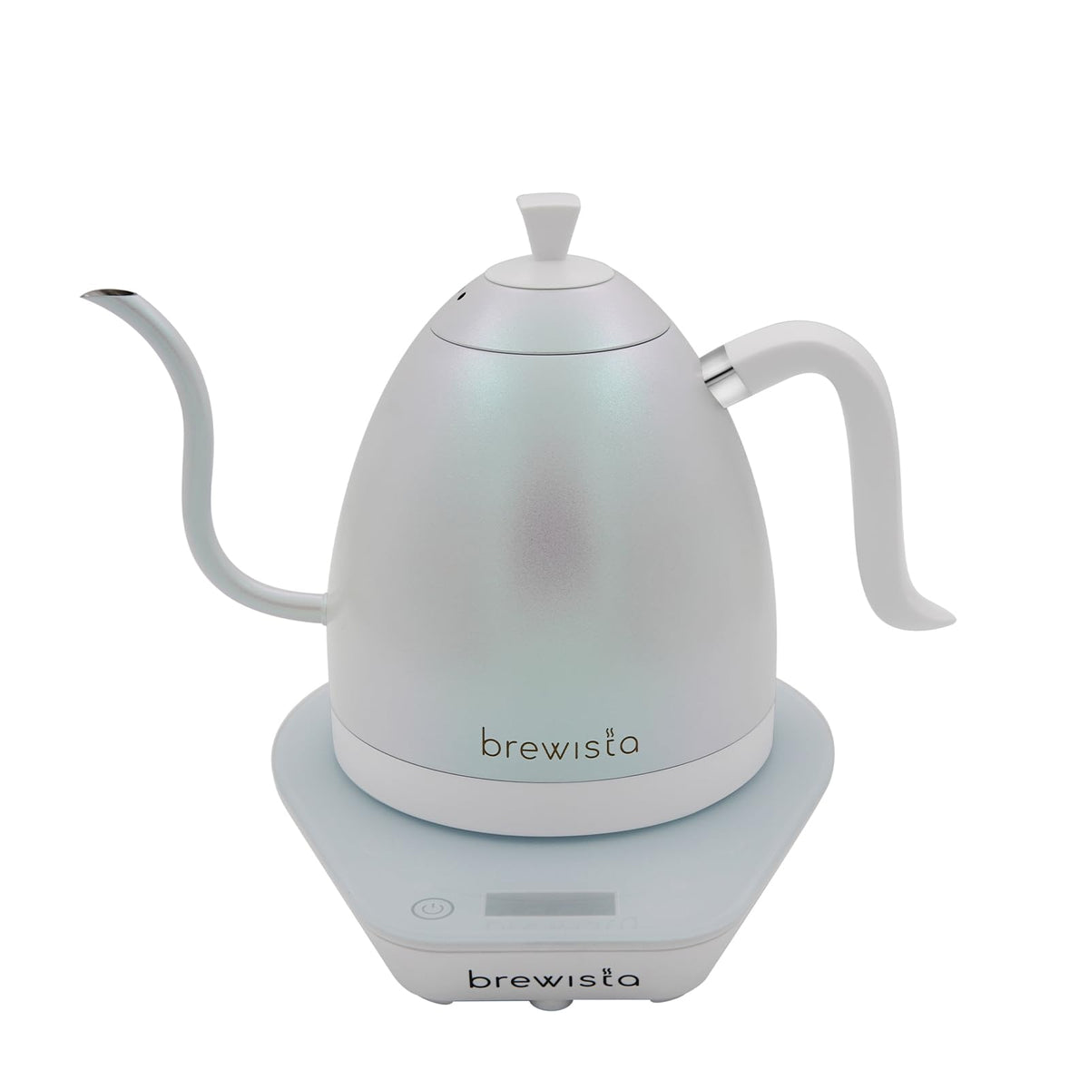 Precision Gooseneck Electric Kettle