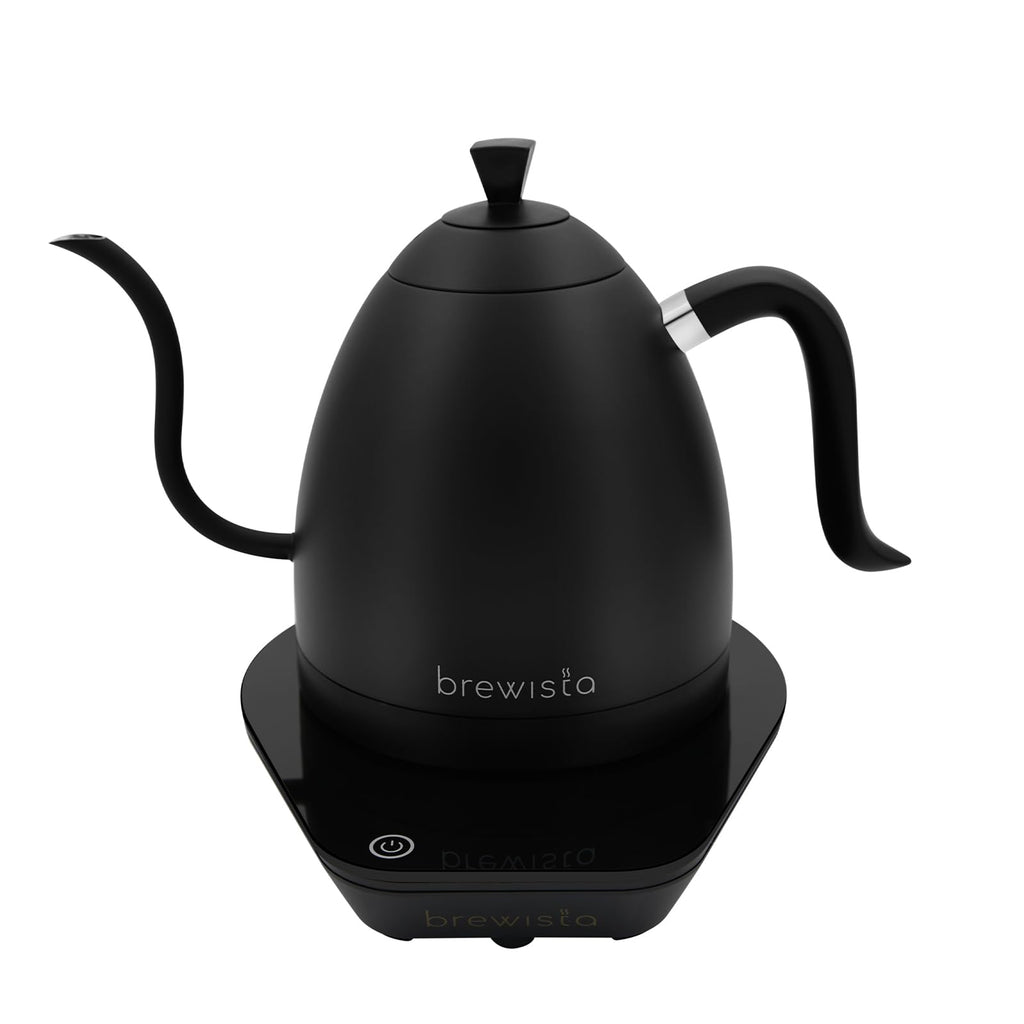 Precision Gooseneck Electric Kettle