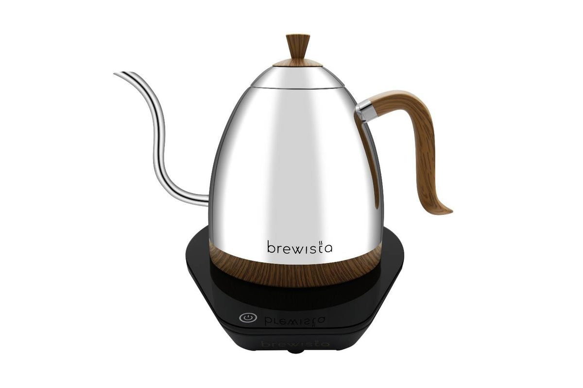 Precision Gooseneck Electric Kettle