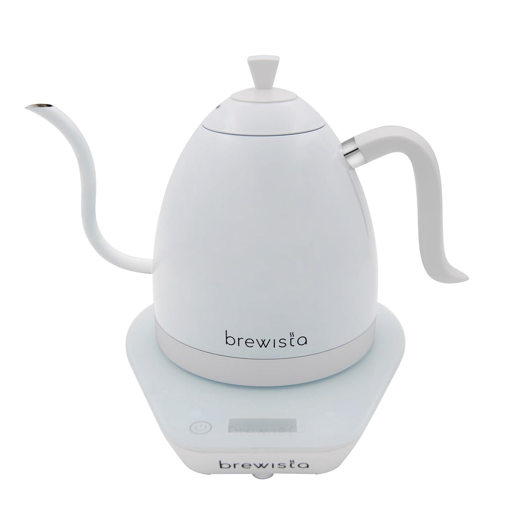 Precision Gooseneck Electric Kettle