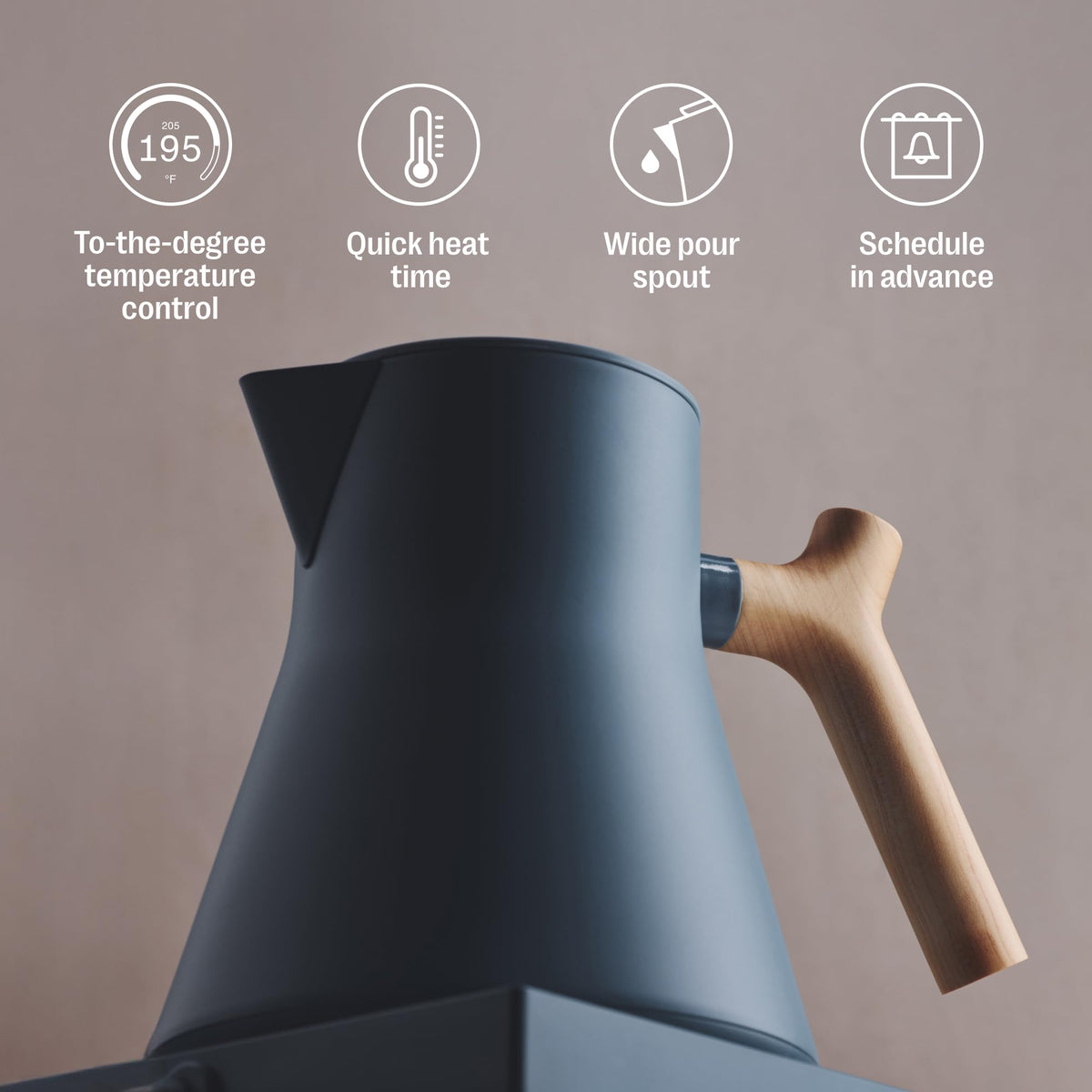 Variable Temperature Electric Kettle