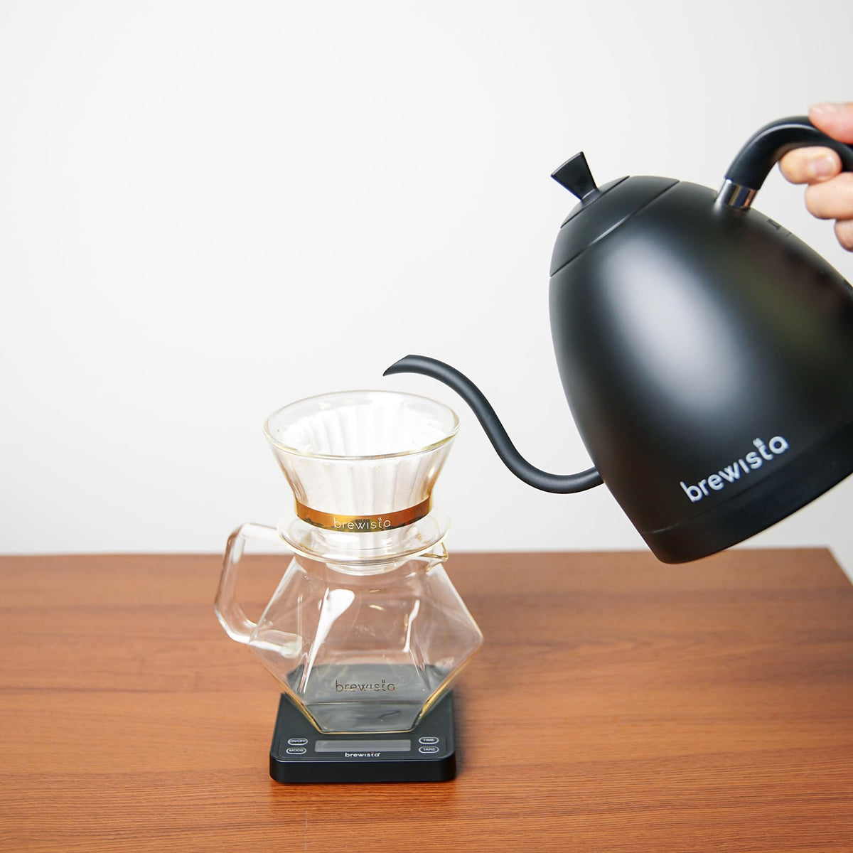 Precision Gooseneck Electric Kettle