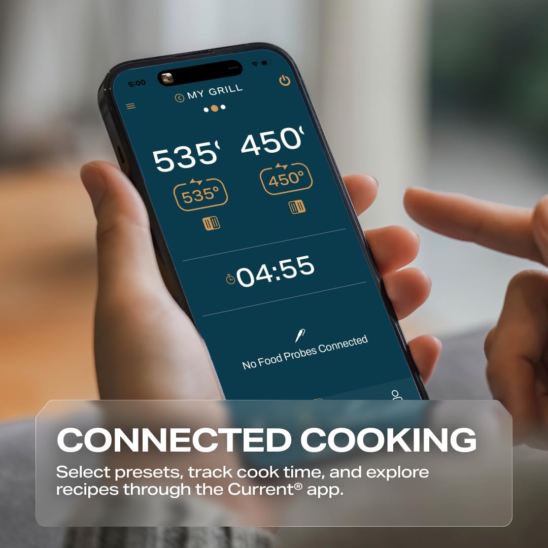 850°F Smart Pizza Oven
