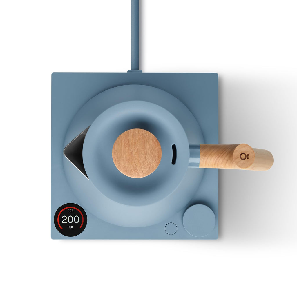 Variable Temperature Electric Kettle