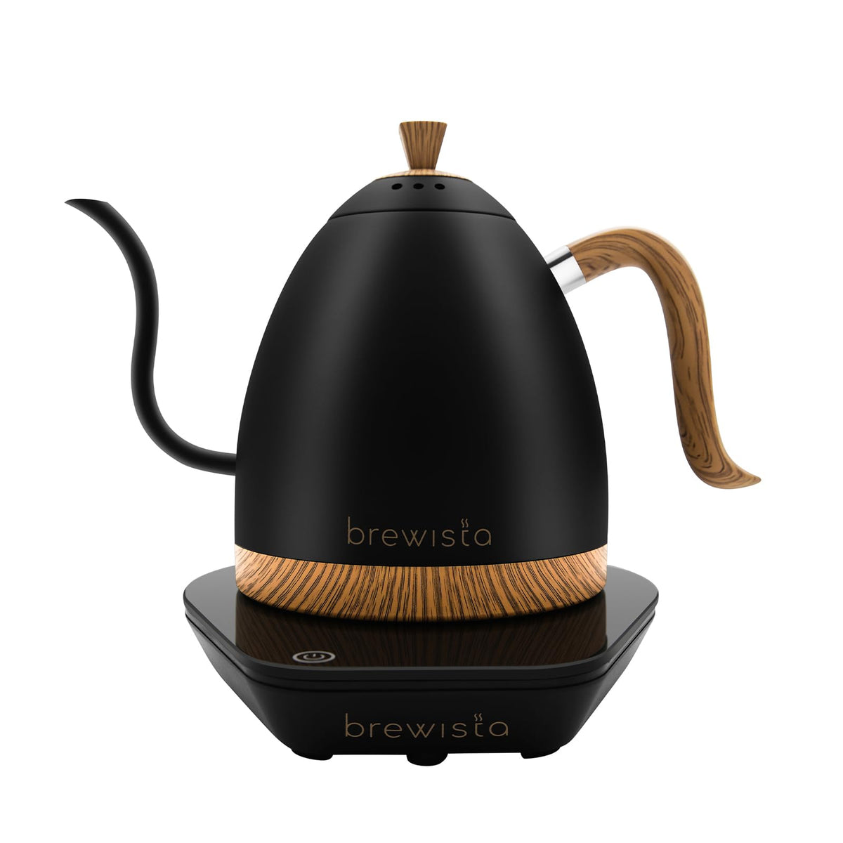 Precision Gooseneck Electric Kettle
