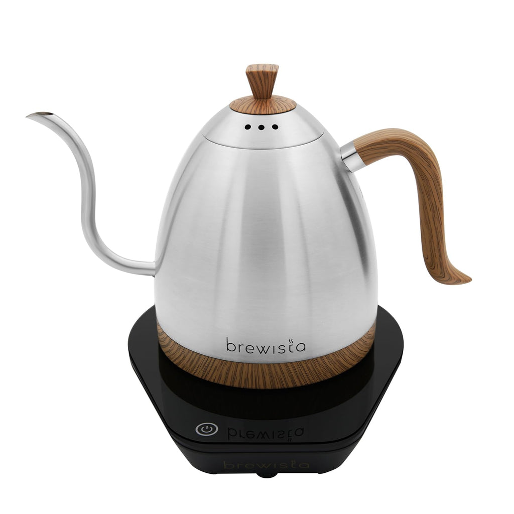 Precision Gooseneck Electric Kettle
