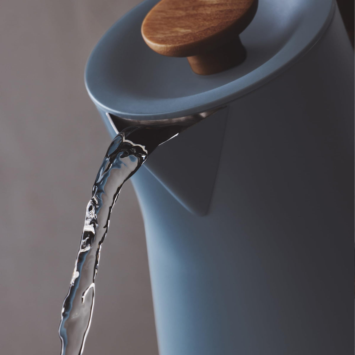 Variable Temperature Electric Kettle