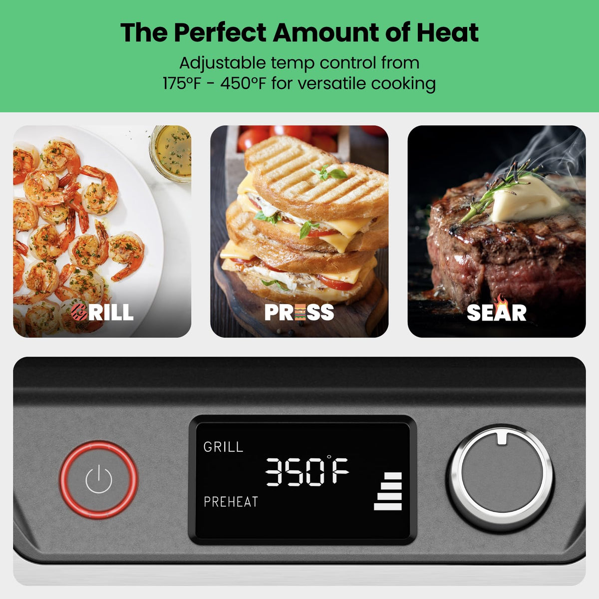 4-Slice Panini Press and Grill