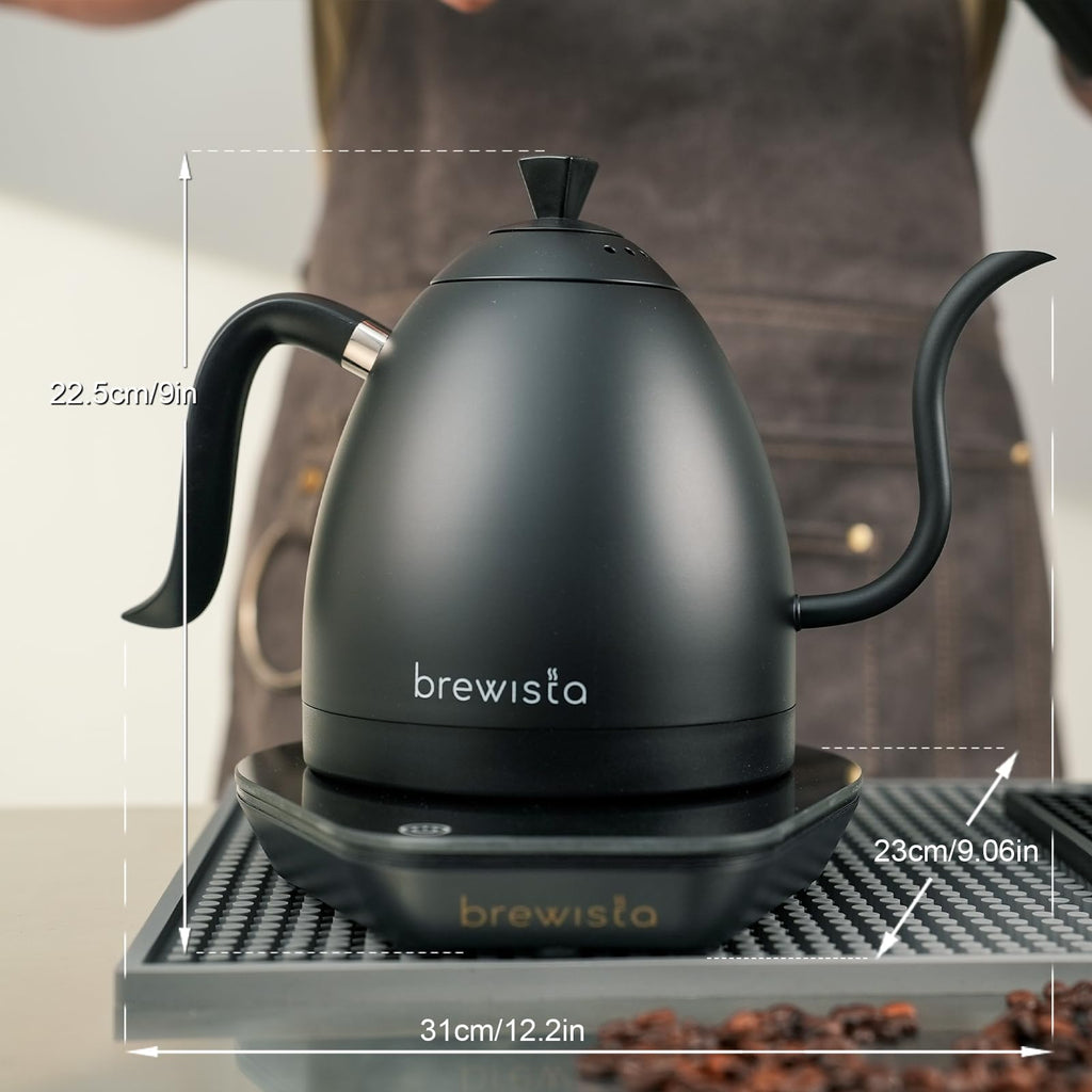 Precision Gooseneck Electric Kettle