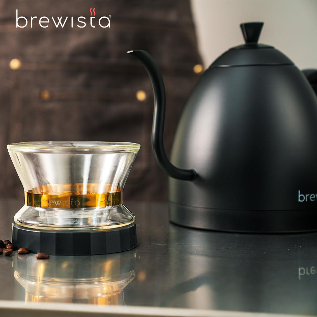 Precision Gooseneck Electric Kettle