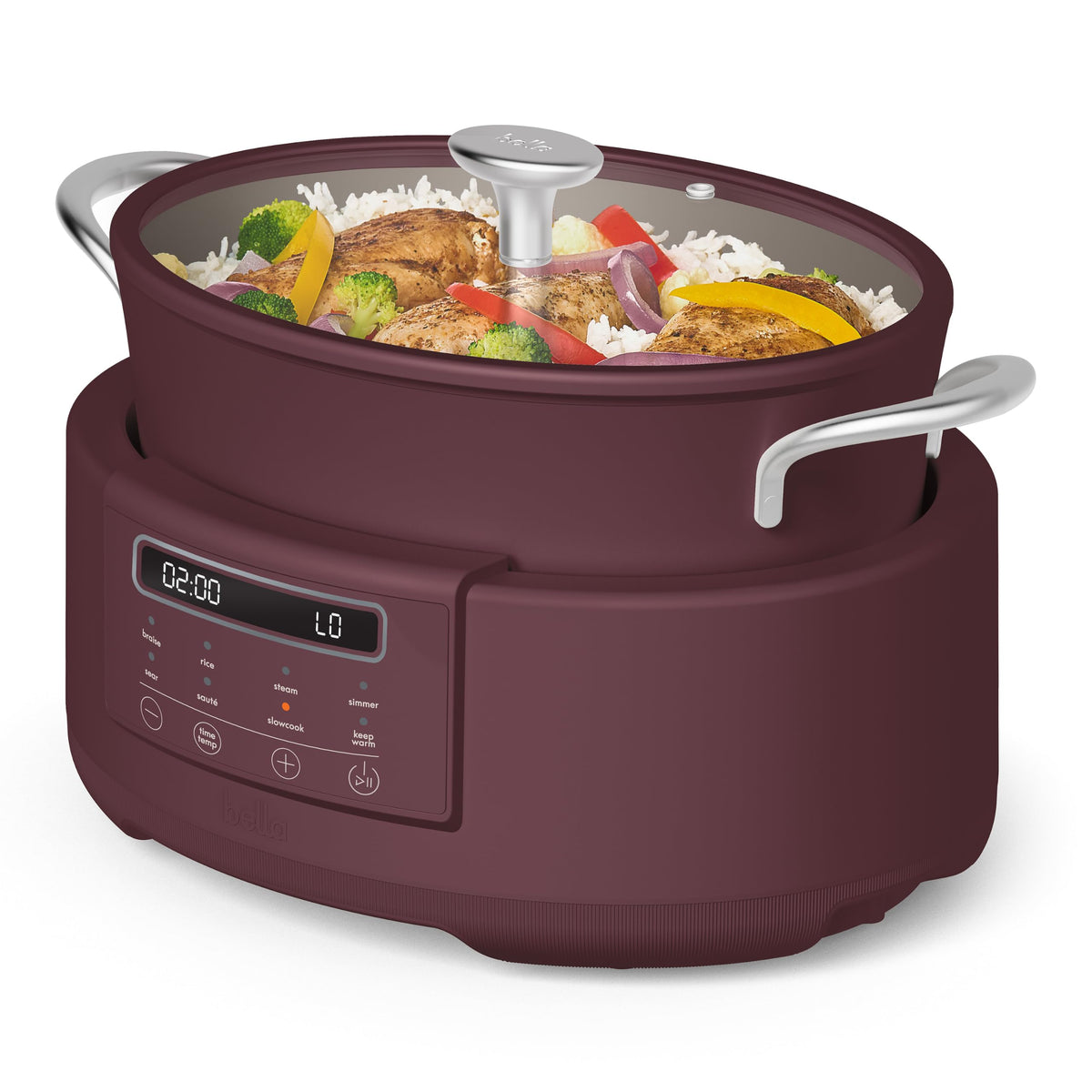 10-in-1 Multi Cooker