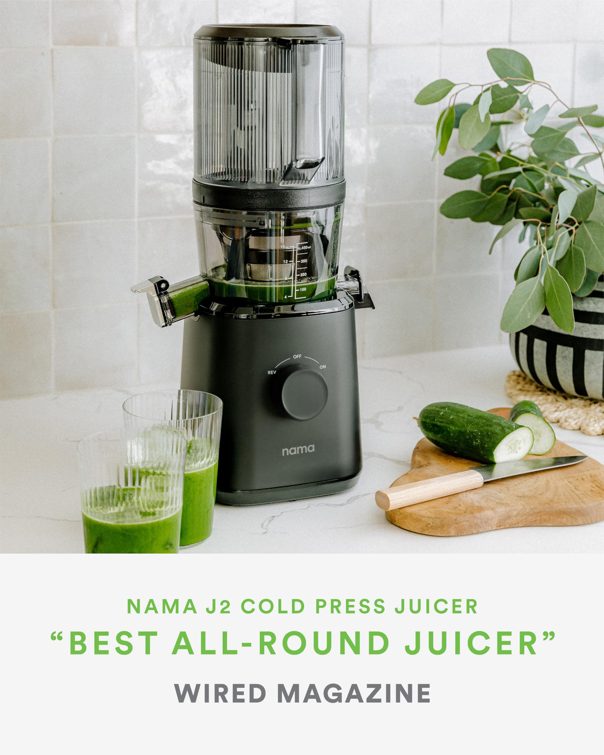 Self-Feeding Cold Press Juicer