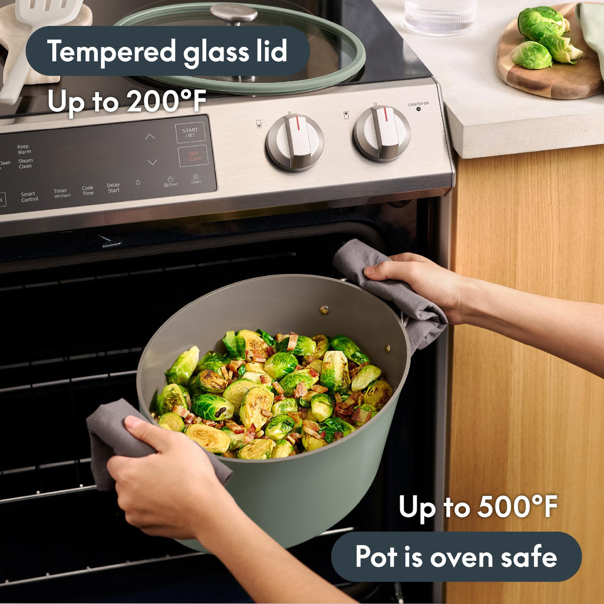 10-in-1 Multi Cooker