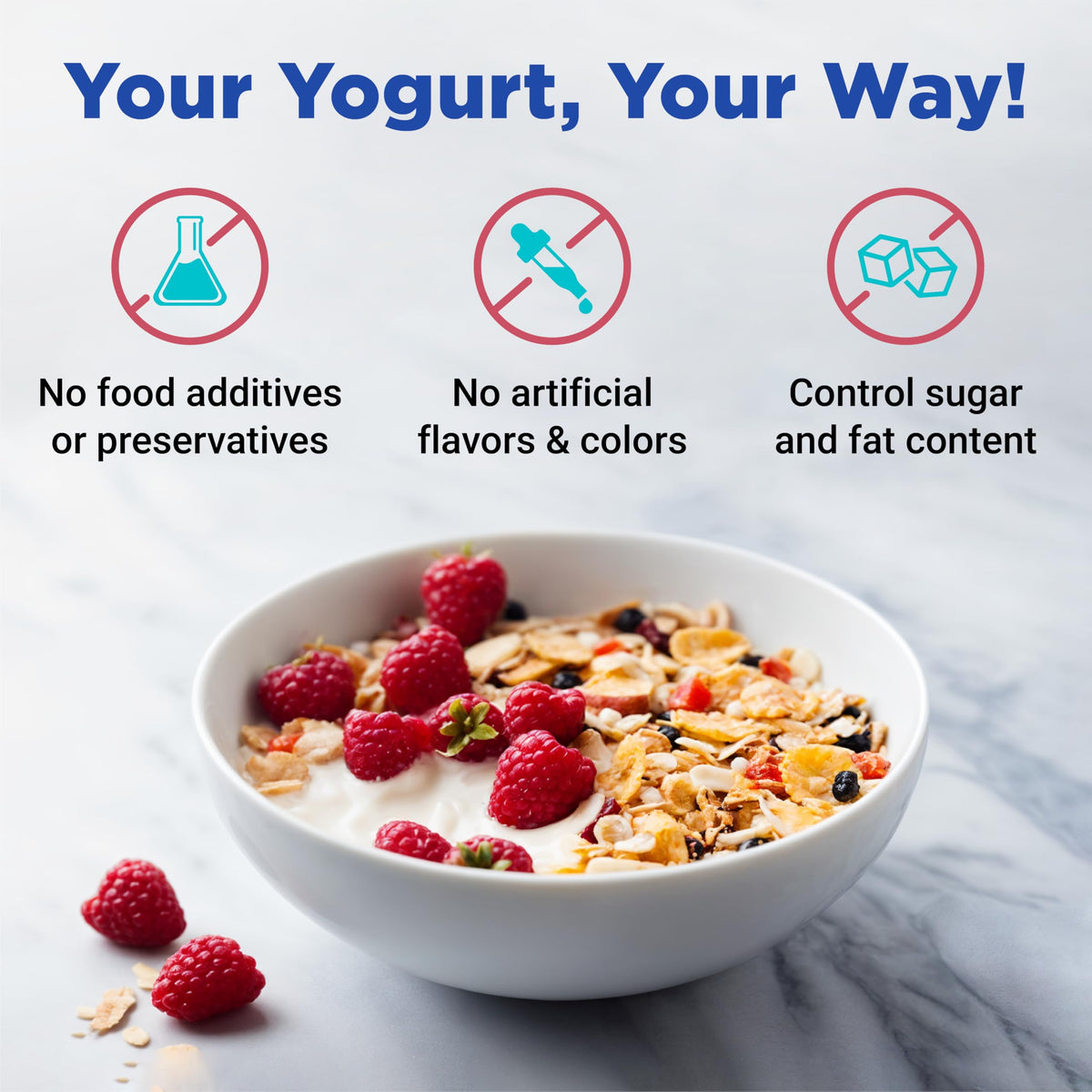 XL Probiotic Yogurt Maker